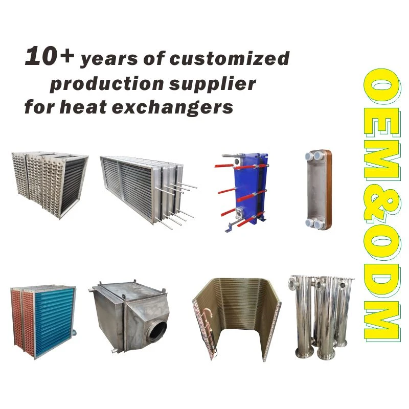 product-800-800